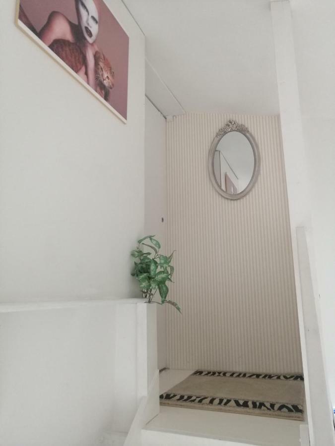 Helena Appartement Zaton  Buitenkant foto